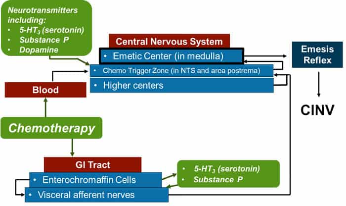 CBD oil can help CINV.