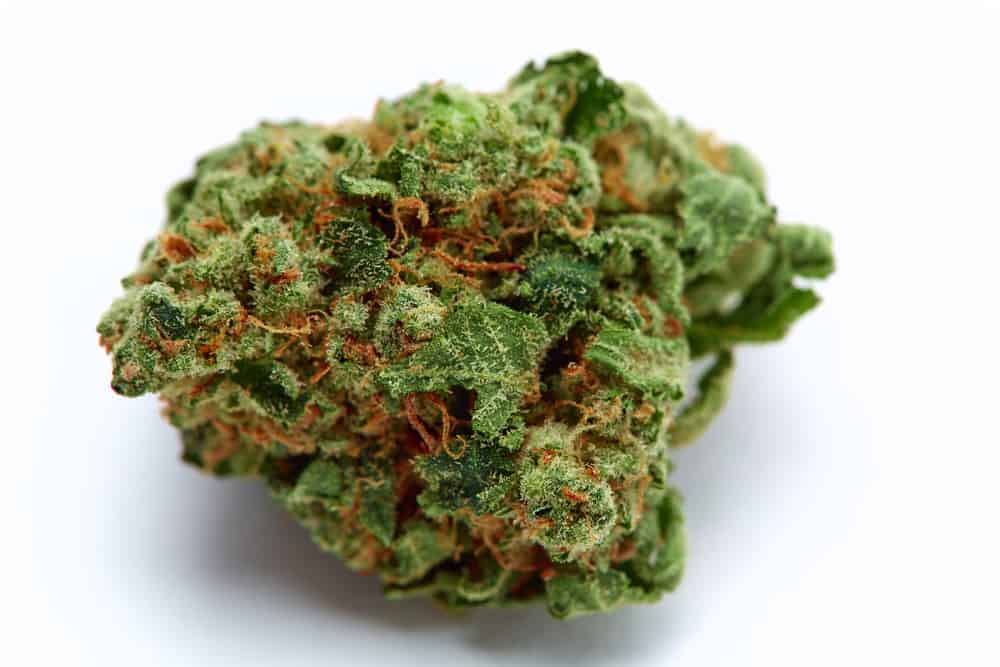 CBD oil for nausea