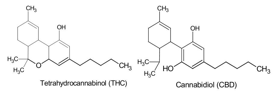 THC vs. CBD: The compounds are very similar, yet very different!