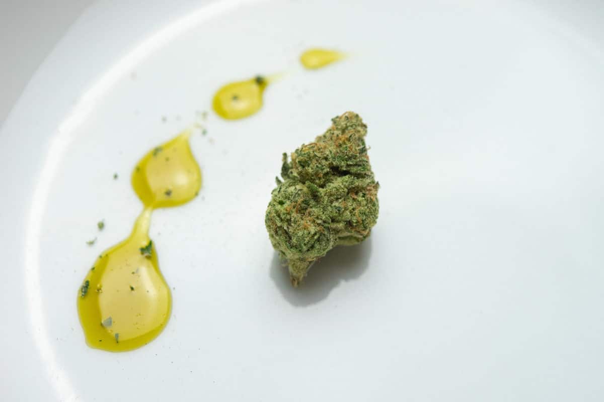 Nug and Marijuana Oil on Plate