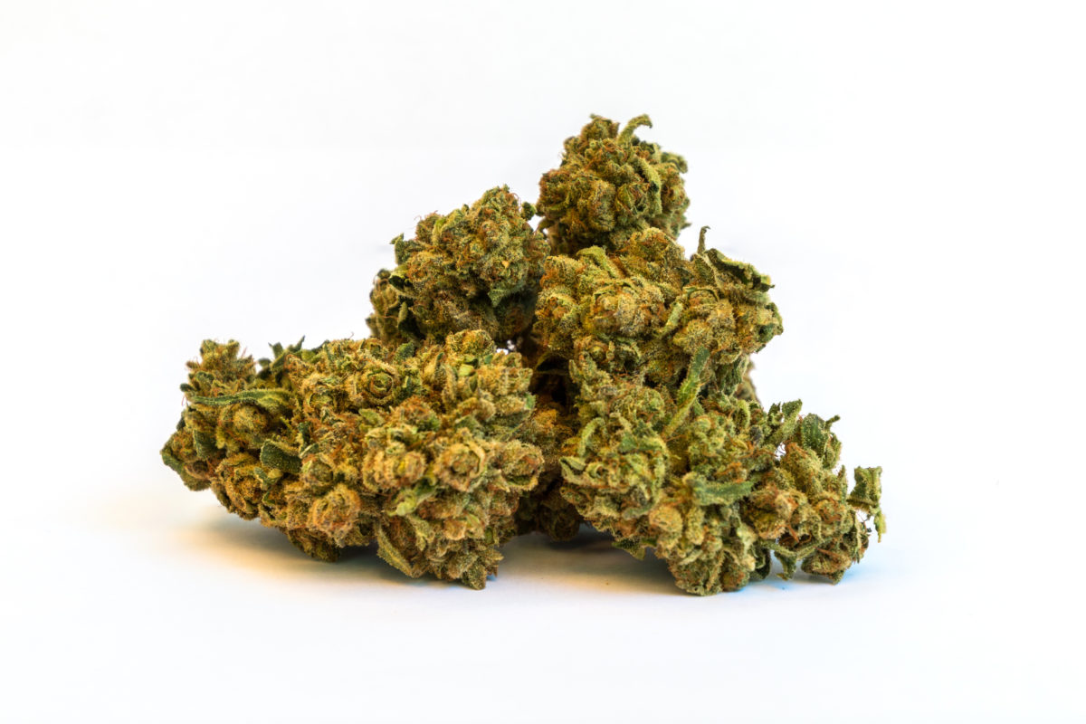 CBGenius The Wife CBD flower